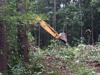 新房子建在陆地上 